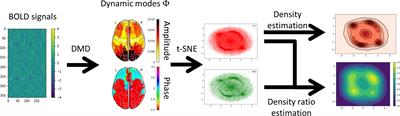 Manifold alteration between major depressive disorder and healthy control subjects using dynamic mode decomposition in resting-state fMRI data